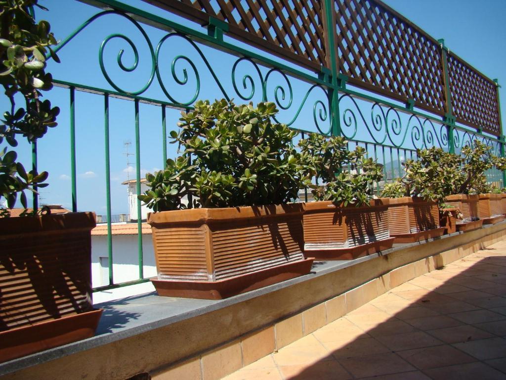 Sorrento Inn Guesthouse Εξωτερικό φωτογραφία